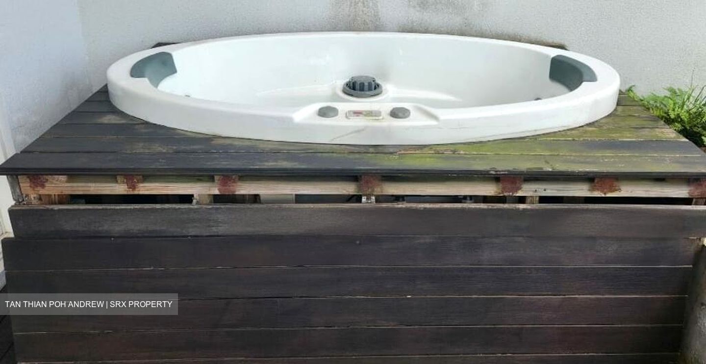 The Peak @ Cairnhill II (D9), Apartment #480419171